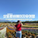 J-071 | 삿포로 비에이 여행 렌트카 타고 자유여행 코스 준페이 후기