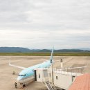 인천 - 오카야마 대한항공 KE771편 737-900 탑승 후기