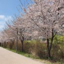 홈플러스옆길 이미지