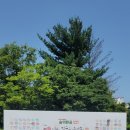 숲의 마음 | 2026 완주공예 캠핑위크 숲의 완공 후기｜행사 마지막 날 다녀온 솔직 후기