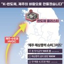바람K의원