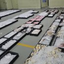 9월 1일(11물때) 민어, 꽃게, 서대, 붕장어, 갯장어, 먹갈치, 참조기, 간재미, 등택어, 덕자, 병어, 잡어, 생선 경매 준비 이미지