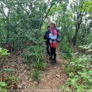 내곡동454 이미지