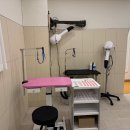 친절한애견미용실 이미지