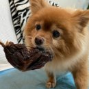 까까물래 이미지