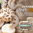 장흥표고식품 이미지