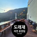 밀양도서관 | 숲 뷰에 바베큐가능한 밀양 도래재 자연 휴양림 예약방법 이용 후기