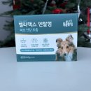 라임덴탈 | 강아지 영양제 벨라맥스 덴탈껌으로 강아지 치석 관리 한번에