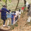 봄 숲으로 가자 이미지