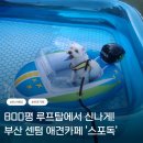 스포독 | 부산 센텀 애견카페 추천! 800평 루프탑 운동장에서 마음껏 뛰노는 스포독 방문 후기