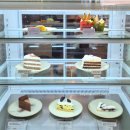 주식회사 바로척웰니스 | 해방촌데이트코스 전시회도 볼 수 있는 이태원카페, 웰니스카페 사유