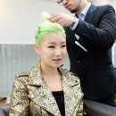 켈리헤어 이미지