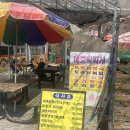 증심사뚱돼지숯불갈비 이미지