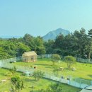 개덩이네 하우스 이미지