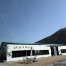 올리브나무어린이집 | 이백오십두번째 돼낑, 남해커피정원(feat. 남해젊줌마들핫플카페)