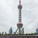 동방부분정비 | 자유로 갈 수 있다! - 김해공항출발/그랜드하얏트 상하이/상하이타워몰/동방명주/차지티/예상하이/예원