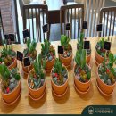 내일한방병원 이미지