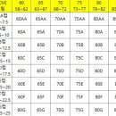 아니 근데 속옷 사이즈 이렇게 계산하는게 맞지? 이미지