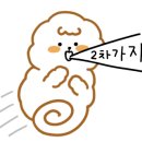 헬로우댕댕 이미지