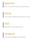 호반사 이미지
