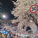 김선장참치 이미지