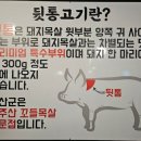 연산군뒷통