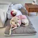 토닥민박 이미지