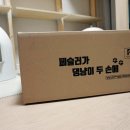 (주)페슬러 네이버블로그