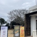 무릉이태양광발전소 이미지