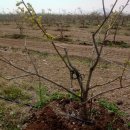 옥철농장 이미지