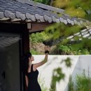 스테이 조각밤 이미지