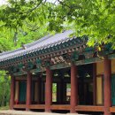 자인계정숲 이미지