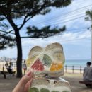 금능리장 | 제주도 3박4일 모음집✈️🏝️📷