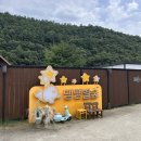 댕댕샤워 | 서울 근교 애견 독채 펜션 계곡 천연 잔디 마당 댕댕별숲 C동