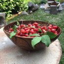 보라2통 이미지