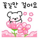 투엑스원스팀세차 이미지