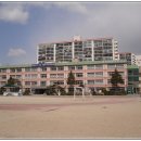 태평초교 이미지