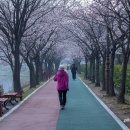 화랑유원지 이미지