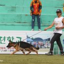Gumiland Daum카페