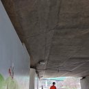 못된강아지(뽑기놀이터) | 호평동 쉼터 반려견 놀이터 늘을중앙공원 호만천 산책로