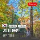 경기도 용인 한택식물원 가을나들이 단풍 시티투어