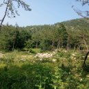 나로도바다 이미지