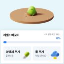 뷰티풀케이 | 케이뱅크 돈나무 키우기, 시간 안 뺏기는 현실 수확 후기