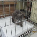 천일정기화물 이미지