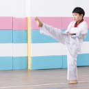 퇴계행복한태권도 이미지