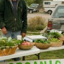 농민농약종묘 이미지