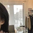 살롱드비니크 | 영등포구청미용실 살롱드비니크 :: 브라운염색 커트 후기