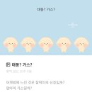 제일중기 | 임신 21주 22주 증상 첫 태동 느낌, 동탄제일병원 중기 정밀초음파 후기