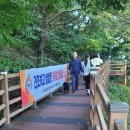 구포2동-10 이미지