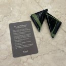 Re Pet 애견샵 | 변산 애견동반 숙소 추천｜소노벨 변산 스위트 Pet Friendly 파셜오션뷰 후기